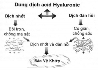 MỘT PHƯƠNG PHÁP ĐIỀU TRỊ THOÁI HÓA KHỚP GỐI